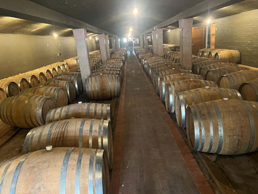 Cape Winelands Experience: Paarl, Stellenbosch & Franschhoek - Three wine towns in one Cape Town day