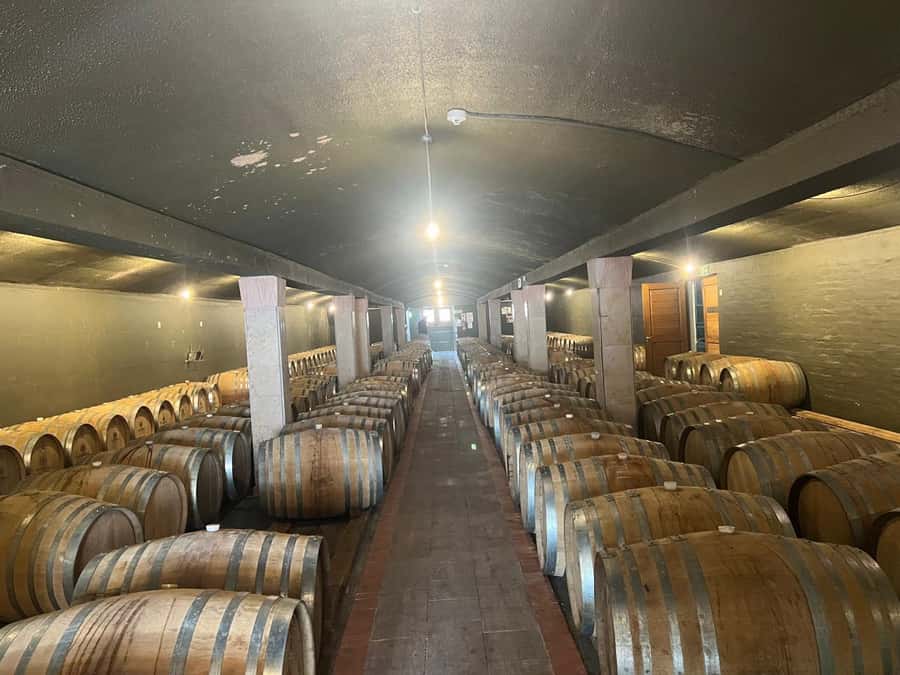 Cape Winelands Experience: Paarl, Stellenbosch & Franschhoek - A thoughtful stop connected to Nelson Mandela