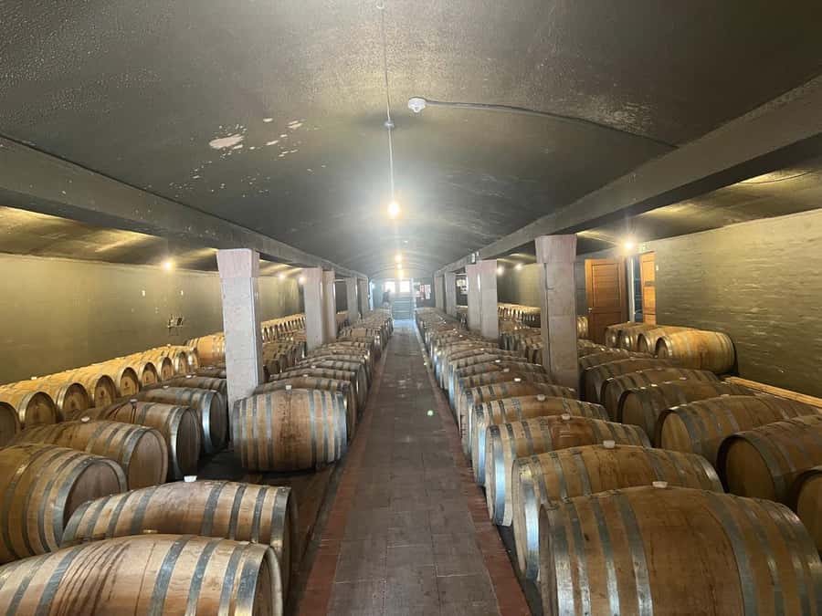 Cape Winelands Experience: Paarl, Stellenbosch & Franschhoek - Fairview in Paarl: cheese gives the morning some character