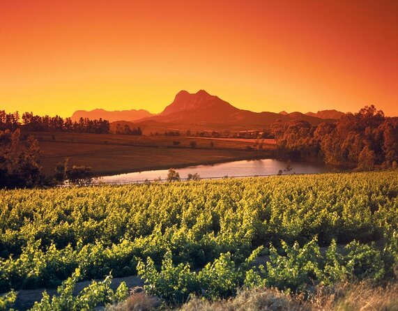 Cape Winelands Explore Full Day Tour with Private Transfer - Why this private Cape Winelands route works
