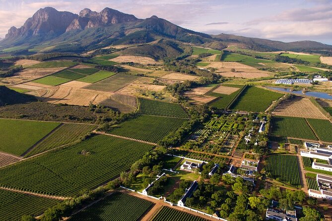 Cape Winelands Explore Full Day Tour with Private Transfer - Fairview brings wine and cheese together