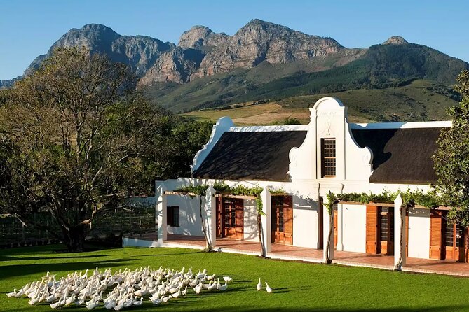 Cape Winelands Explore Full Day Tour with Private Transfer - Your guide shapes the day more than the brochure does
