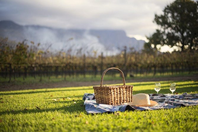 Cape Winelands Explore Full Day Tour with Private Transfer - Price, flexibility, and small planning details