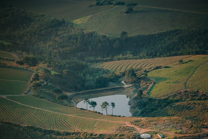 Cape Winelands Tour - Rust en Vrede brings calm and serious character