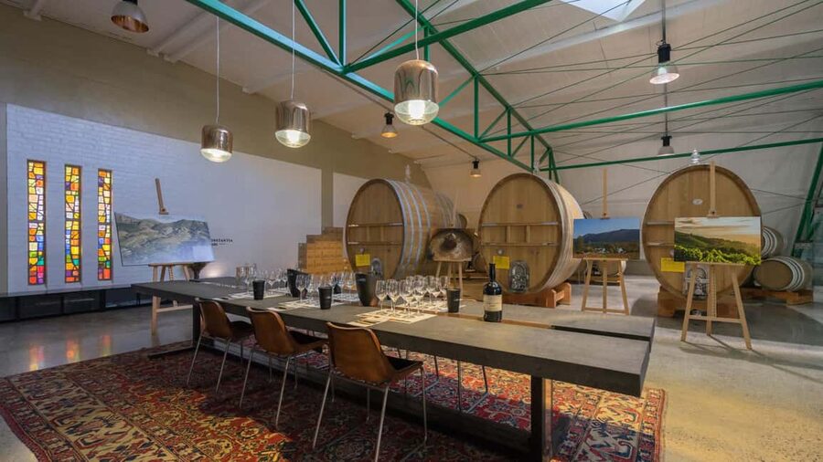 Capetown Private Wine Tour: Manor tour, cellar tour included - Who will enjoy this wine day most