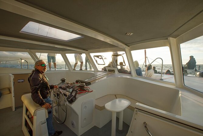 Catamaran Sunset Champagne Cruise Cape Town - A closer look at the 90-minute route