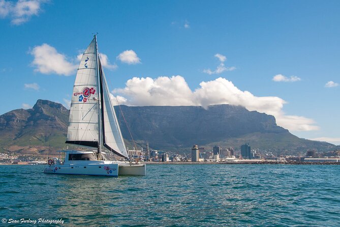 Champagne Cruise (Pre-Sunset) from Cape Town - Why this one-hour cruise works so well