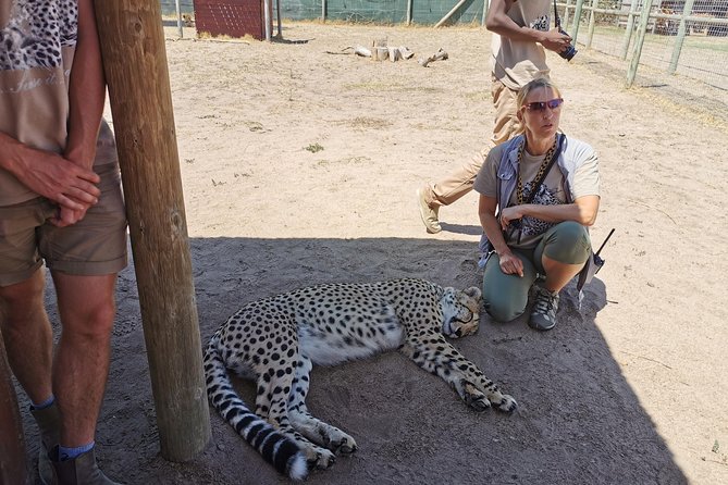 Cheetah Outreach Tour Somerset West, Gordon's Bay and Strand Beaches - Drivers and guides can make a real difference