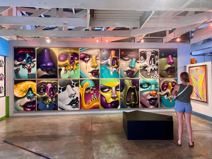 Colours of Johannesburg: A Graffiti & Street Art Tour - What the $43 price really covers