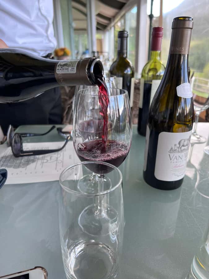 Constantia Half day Wine Tasting tour - Why this Constantia route works well from Cape Town