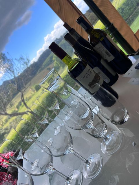 Constantia Half day Wine Tasting tour - Constantia Glen and the final view