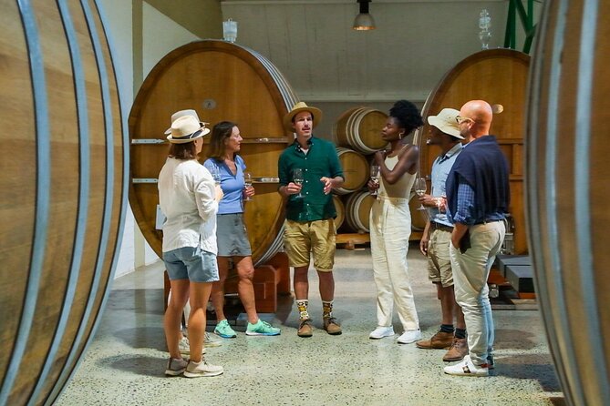 Constantia Wine Walk Storytelling Vineyard Tour with Lunch - Starting at Groot Constantia at 8:30 am