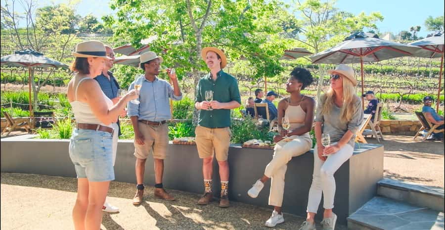 Constantia: Wine Walk with Lunch and Enchanting Stories - Key points at a glance