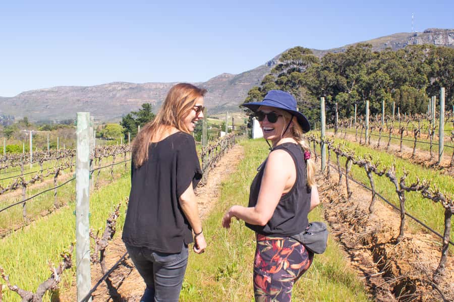 Constantia: Wine Walk with Lunch and Enchanting Stories - Tasting Vin de Constance at Klein Constantia