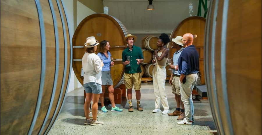 Constantia: Wine Walk with Lunch and Enchanting Stories - Practical details that can make the day better