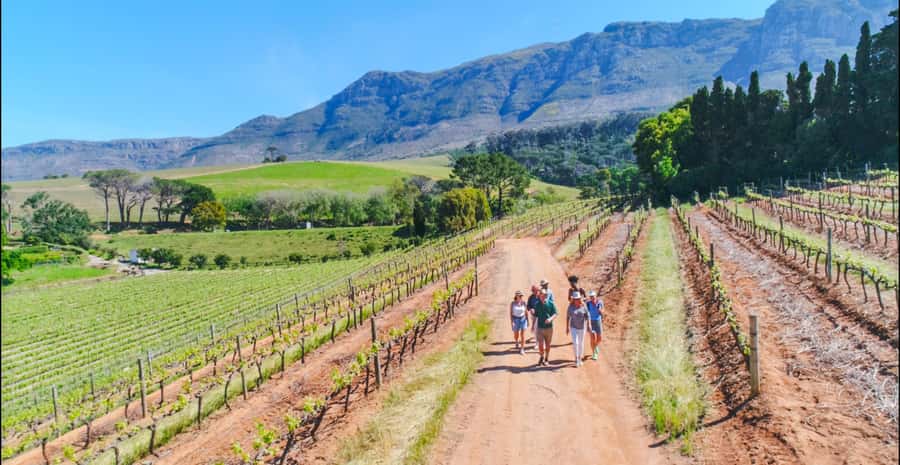 Constantia: Wine Walk with Lunch and Enchanting Stories - Starting at Groot Constantia near Jonkershuis