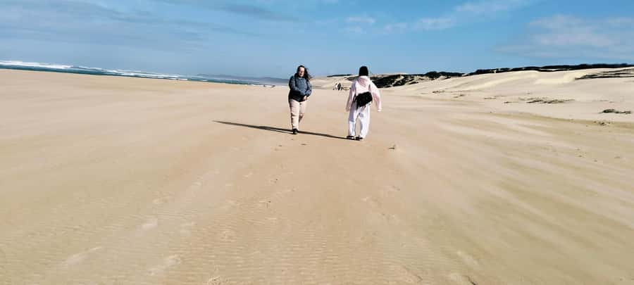 Costal Hiking Sacramento Trail: Port Elizabeth - Practical preparation for the five-hour outing