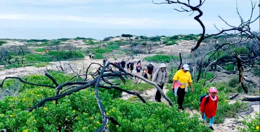 Costal Hiking Sacramento Trail: Port Elizabeth - Tufa stromatolites and ancient life