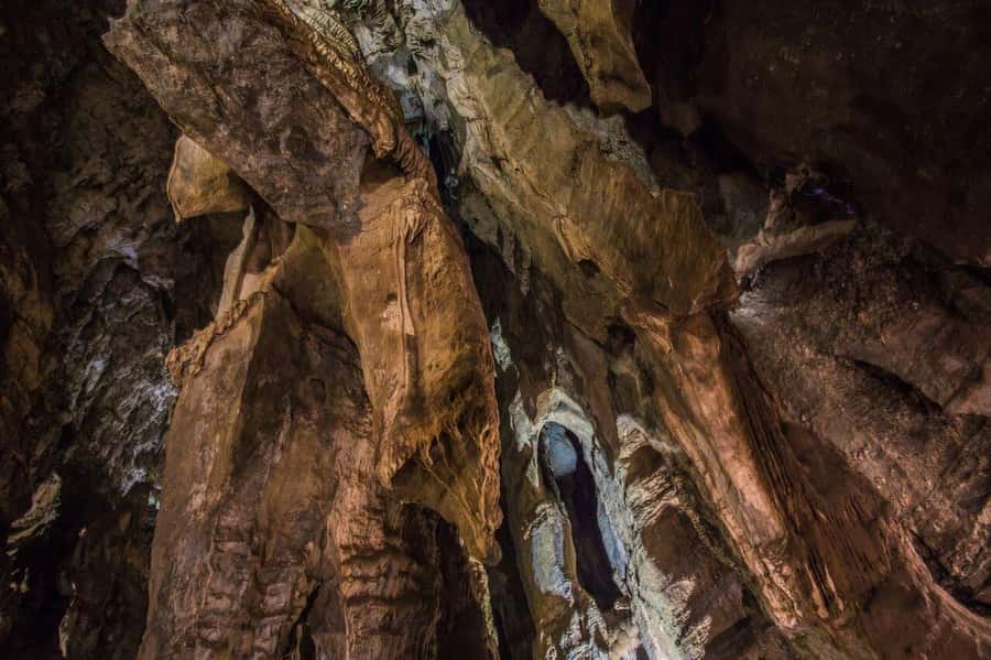 Cradle of Humankind and Sterkfontein Caves Half-Day Tour - Shopping and the ride home