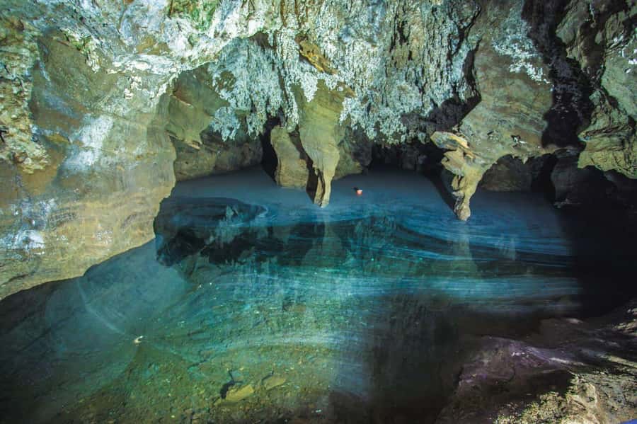 Cradle of Humankind and Sterkfontein Caves Half-Day Tour - Who should book this outing?