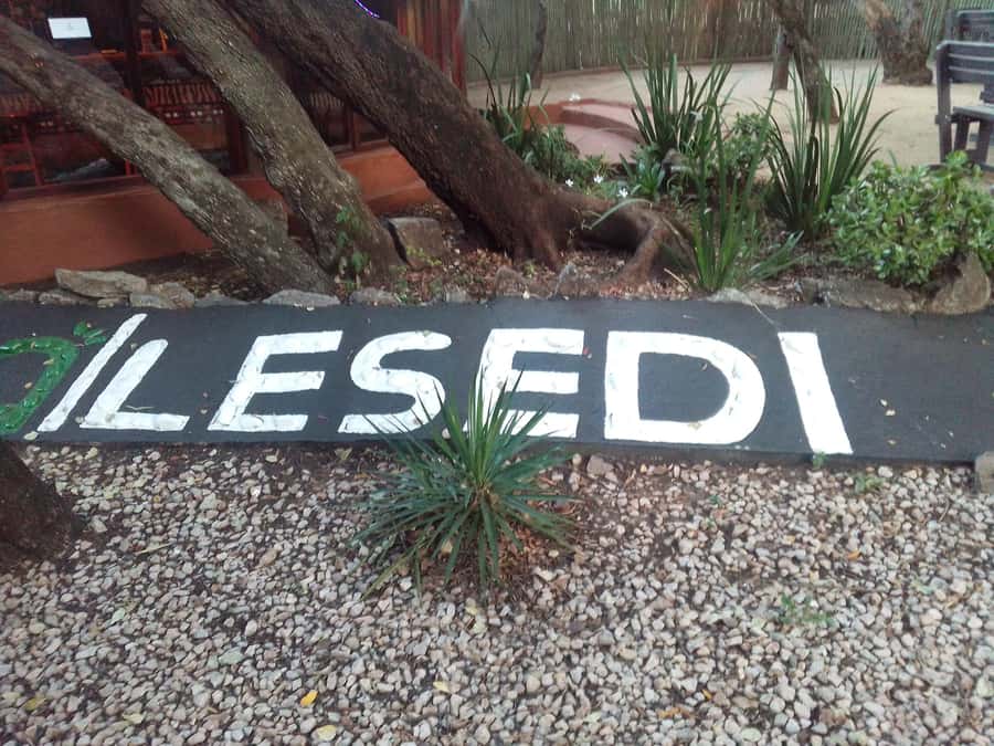 Cradle Of Humankind, Lesedi Cultural Village & Lion's Park - One day, three very different sides of Gauteng