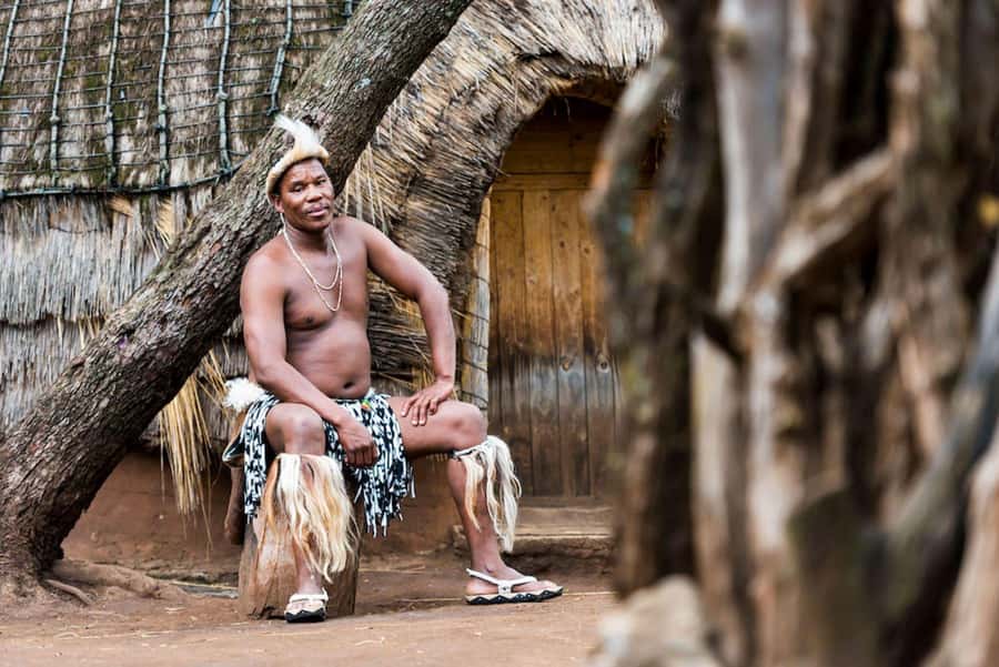 Cradle Of Humankind, Lesedi Cultural Village & Lion's Park - Lesedi Cultural Village: music, homesteads, and living traditions