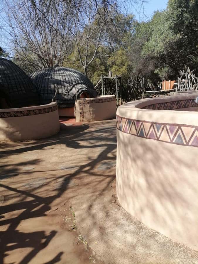 Cradle Of Humankind, Lesedi Cultural Village & Lion's Park - Lion and Safari Park for the afternoon finish