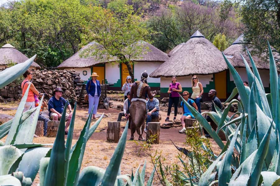 Cradle Of Humankind, Lesedi Cultural Village & Lion's Park - How the guide affects the experience