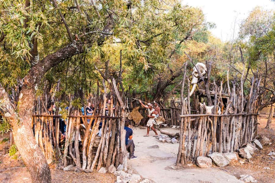 Cradle Of Humankind, Lesedi Cultural Village & Lion's Park - Practical ways to get more from the day