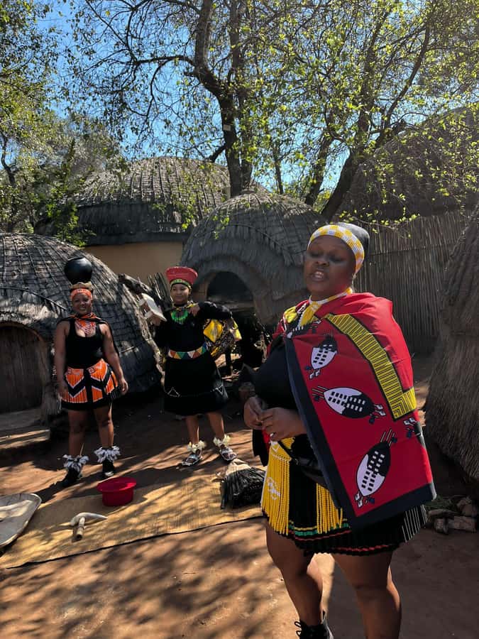 Cradle Of Humankind, Lesedi Cultural Village & Lion's Park - Starting from Johannesburg at 7:30 AM