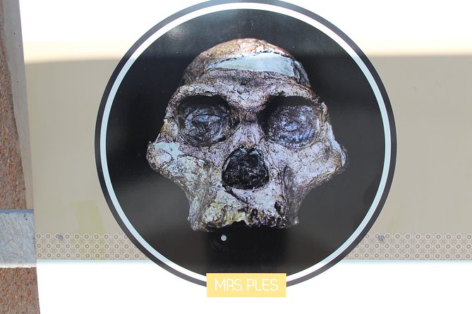 Cradle of Humankind Tour - Sterkfontein Caves with Maropeng Tour - What the $112.55 price buys you