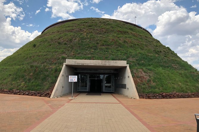 Cradle of Humankind Tour with Lion Safari from Johannesburg - Small-group comfort and guide service