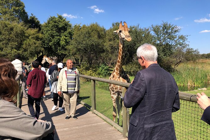 Cradle of Humankind Tour with Lion Safari from Johannesburg - Sterkfontein Caves: the day turns underground