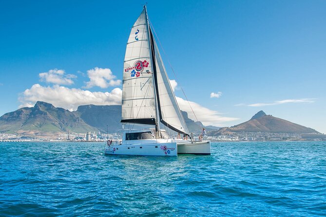 Cruise and Dine Dinner / Cape Town: Sunset Champagne Cruise and 3-Course Dinner - Ninety minutes on the Atlantic