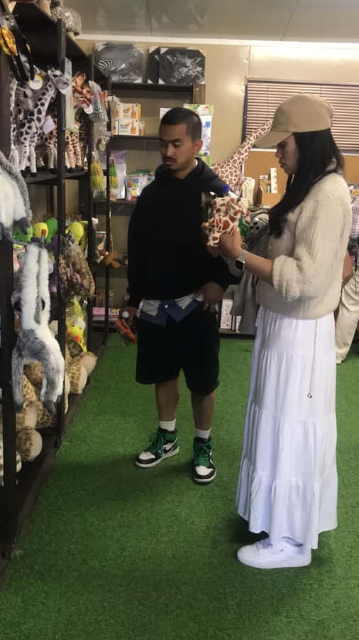 CT:Giraffe house-lions-leopard-tiger and WineTasting - Booking advice and final verdict