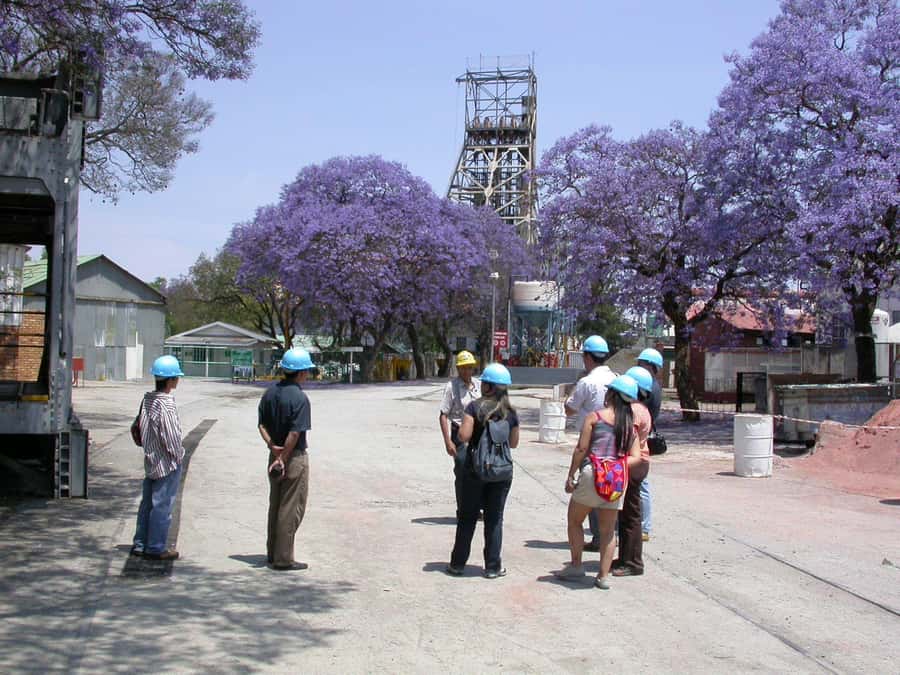 Cullinan Diamond Mine & Pretoria Full Day Tour - What you actually see at Cullinan Diamond Mine