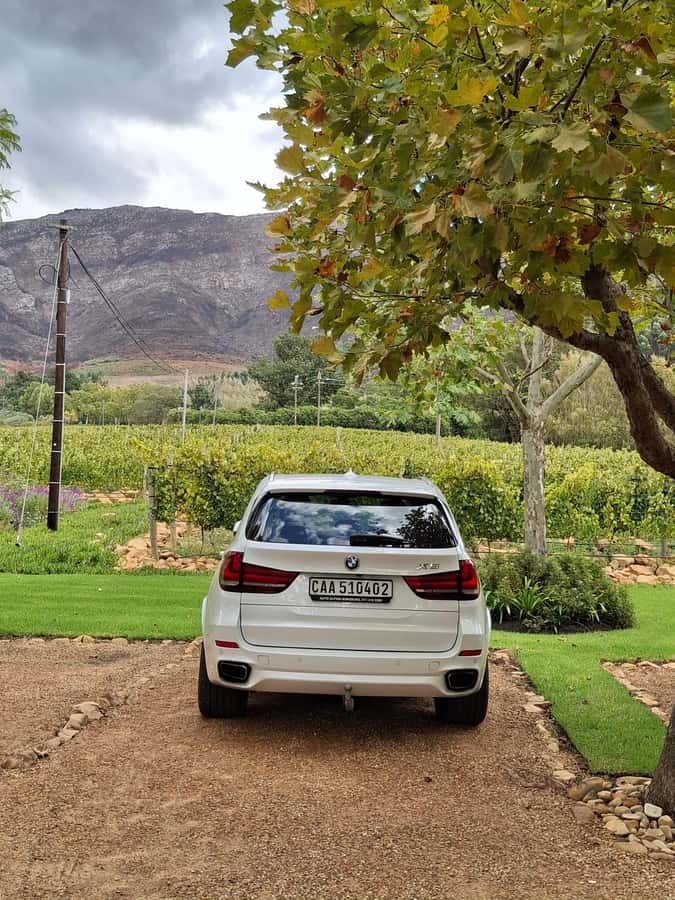 CUSTOMISED PRIVATE WINE TOUR WITH LUNCH - CAPE TOWN - Choosing lunch without losing the afternoon