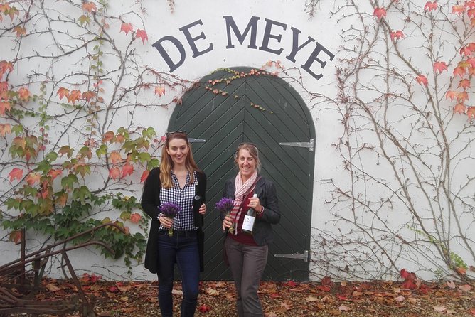 Daily Different small group WINE tour - STELLENBOSCH PICKUP only - Jordan’s Bakery for lunch and mountain views