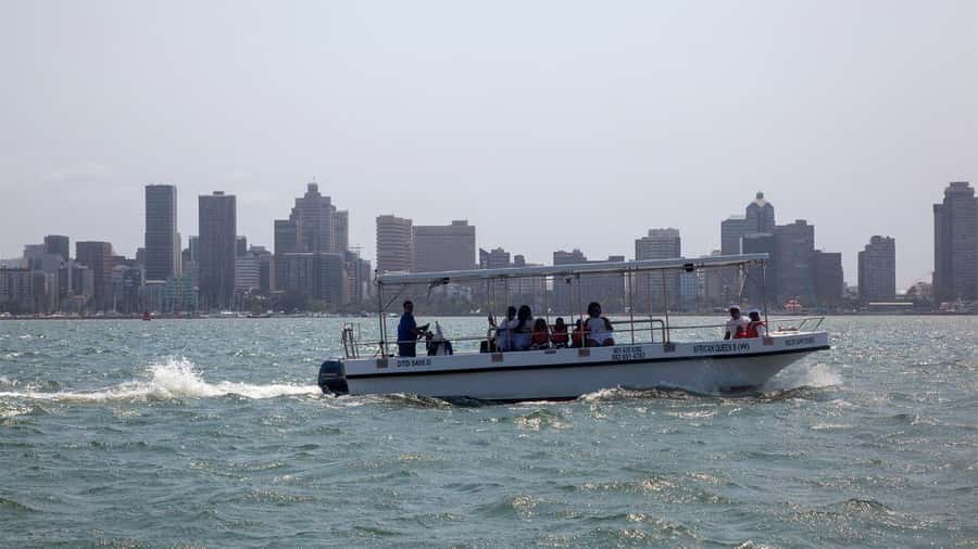 Durban: 1-Hour Boat Cruise from Wilson's Wharf - Starting at Wilson’s Wharf