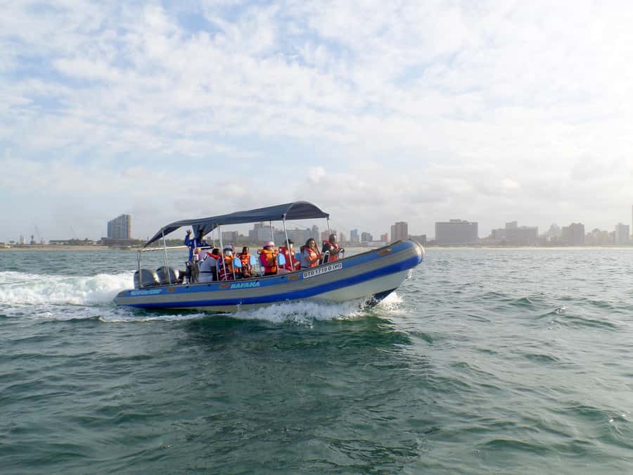 Durban: 1-Hour Boat Cruise from Wilson's Wharf - Durban’s Beachfront from Offshore
