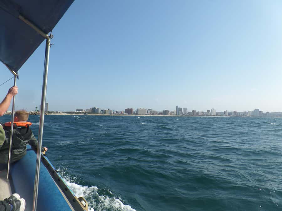 Durban: 1-Hour Boat Cruise from Wilson's Wharf - Smooth Water, Spray, and Safety