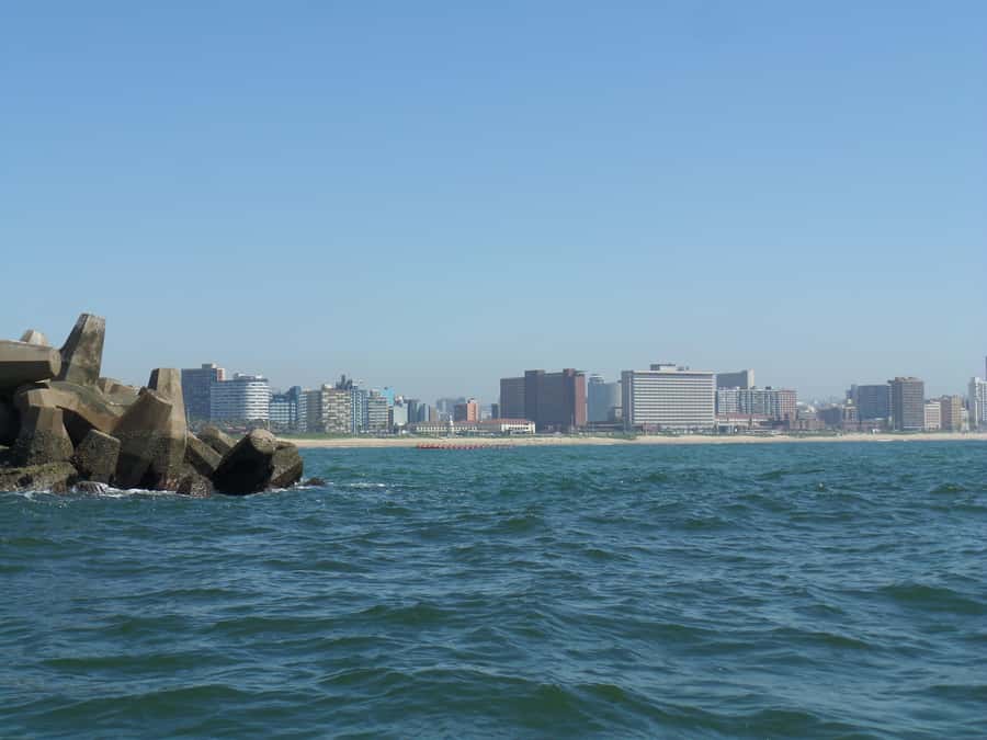 Durban: 1-Hour Boat Cruise from Wilson's Wharf - Is One Hour Enough?