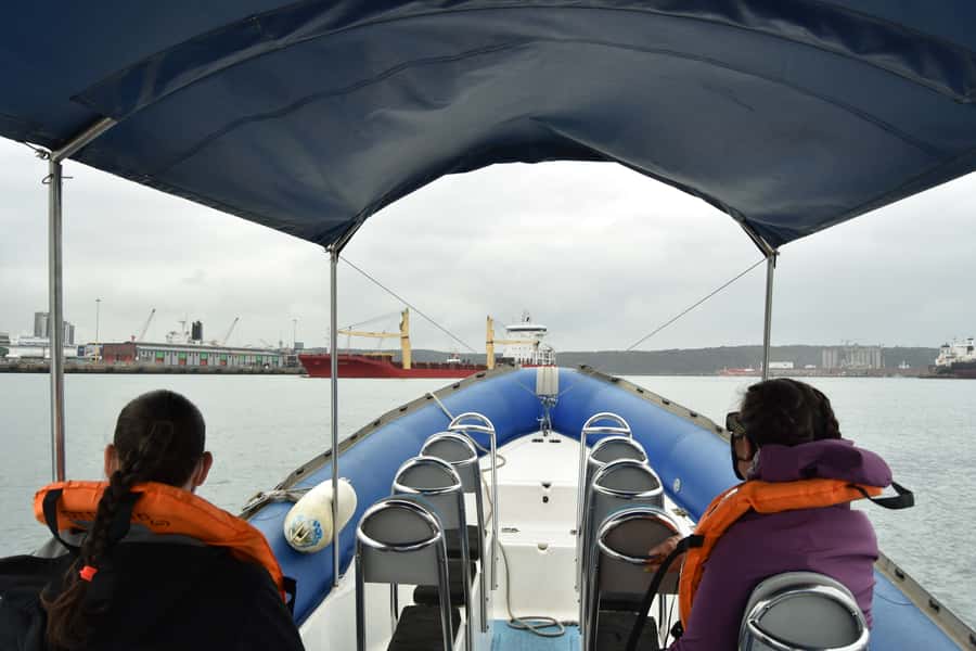 Durban: 1-Hour Boat Cruise from Wilson's Wharf - Who Will Enjoy This Cruise Most