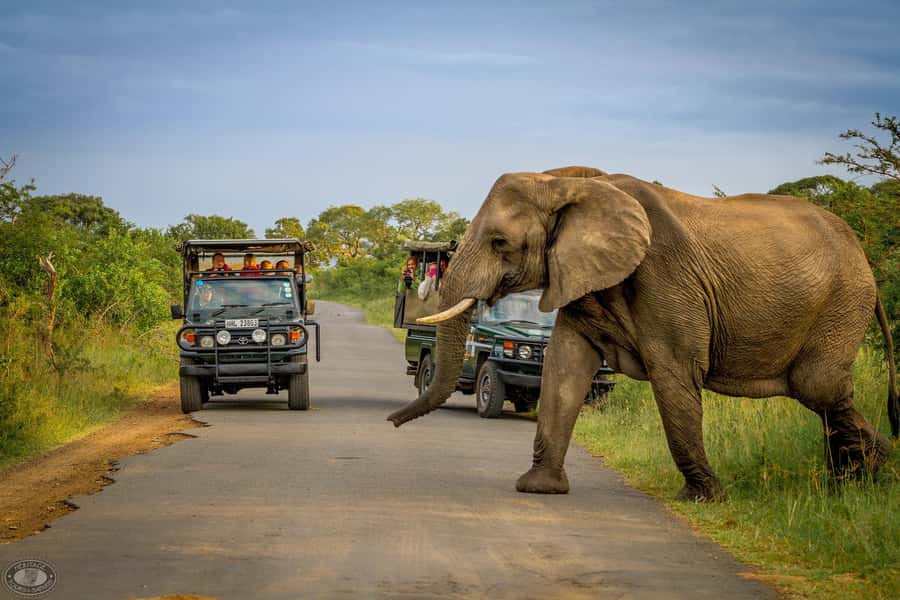Durban:3 Day Hluhluwe-Imfolozi Park, St Lucia, iSimangaliso - Day 1: hippos at St Lucia and an iSimangaliso sunset drive