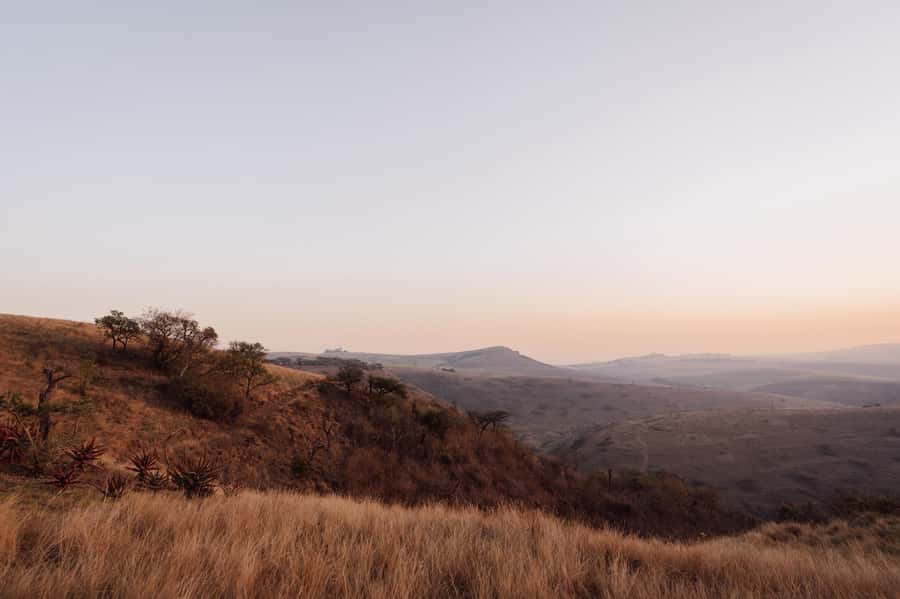 Durban: All-in-one Luxury Spa Package at Gwahumbe Game & Spa - Starting With a 45-Minute Bush Massage