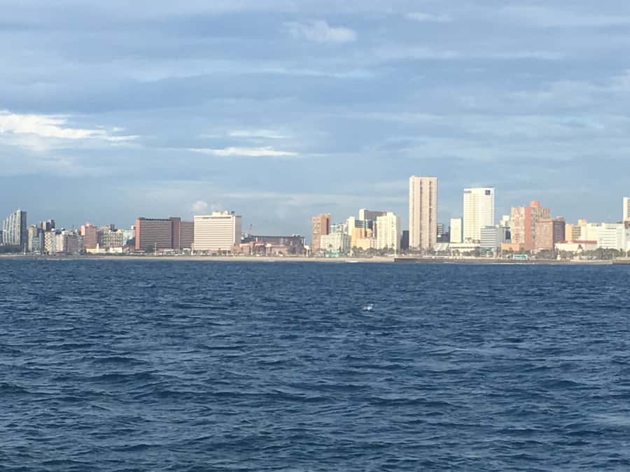 Durban: Durban: Whale and Dolphin Watching Boat Tour - FAQ