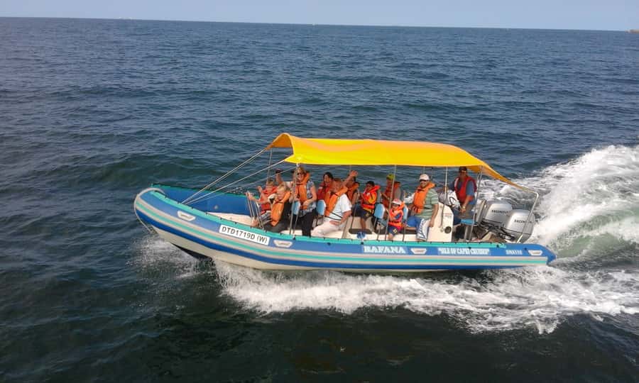 Durban: Durban: Whale and Dolphin Watching Boat Tour - What the two-hour route feels like