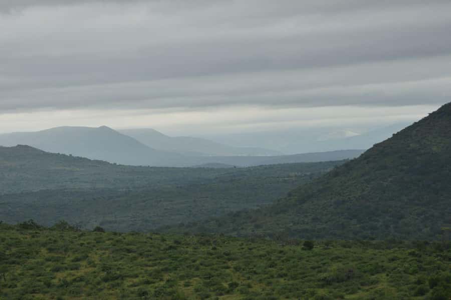 Durban: Full Day Hluhluwe-iMfolozi Game Reserve with lunch - Is $280 a fair price?