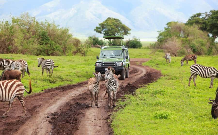 Durban: Half Day Phezulu Safari Park and Durban City Tour - Phezulu Safari Park in the Valley of 1000 Hills
