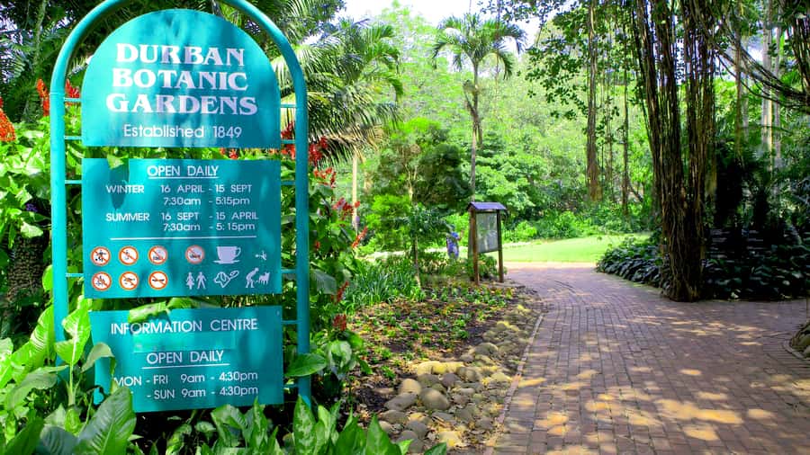 Durban: Top 10 City Sights and Walking Tour - Durban Botanic Gardens: allow yourself time